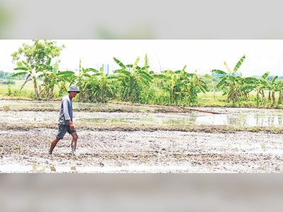 Compensation Arriving for Affected Farmers